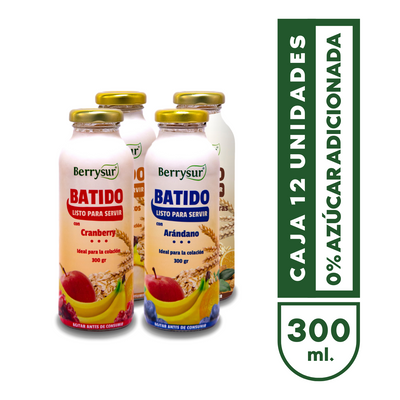 Mix Batidos - Pack Surtido 12 unidades